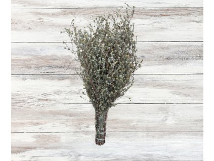 bylinky eshop foto (11)