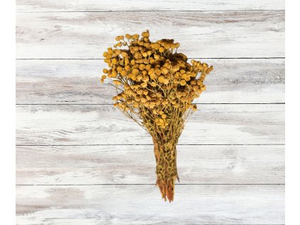 bylinky eshop foto (13)