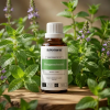 M2BIO EN Bergamot Mint