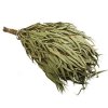 [PS02] Eucalyptus whisks Sauna XL (25 pcs)