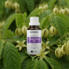 F5 EN Ylang ylang