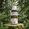 W26BIO EN Norway Spruce2