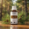 W16BIO EN Aleppo Pine (1)