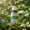 H1BIO EN Tropical basil