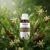 W1 EN Sandalwood