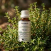 H10 CO2 EN Thyme2