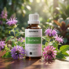 H12 EN Bee Balm (1)