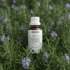 H5 CO2 EN Rosemary
