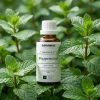 M6 CO2 EN Peppermint