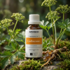 Galbanum - 11ml