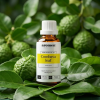 C16BIO EN Combava leaf