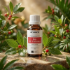 Bay St. Thomas – 11ml