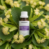 F17 EN Linden Blossom