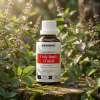 S15BIO EN Holy Basil