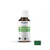 [E3 BIO] Eucalyptus dives 11ml (BIO)