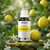 C1 EN Bergamot