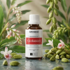 S3 EN Cardamom (1)