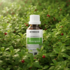 H11BIO EN Wintergreen