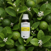 Limetka lisovaná - 11ml