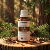 W4 EN Virginian Cedarwood