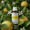 C4 EN Grapefruit