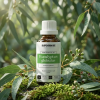 E2BIO EN Eucalyptus