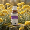 F16BIO EN Golden everlasting