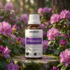 F14BIO EN Rhododendron2