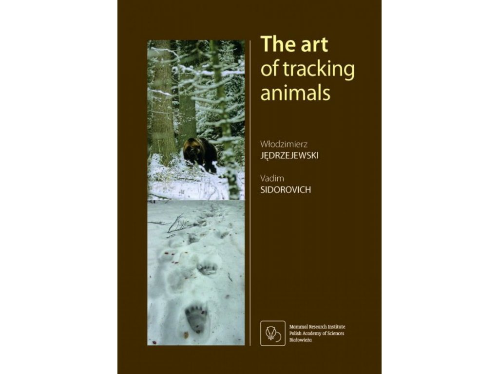 the art of tracking