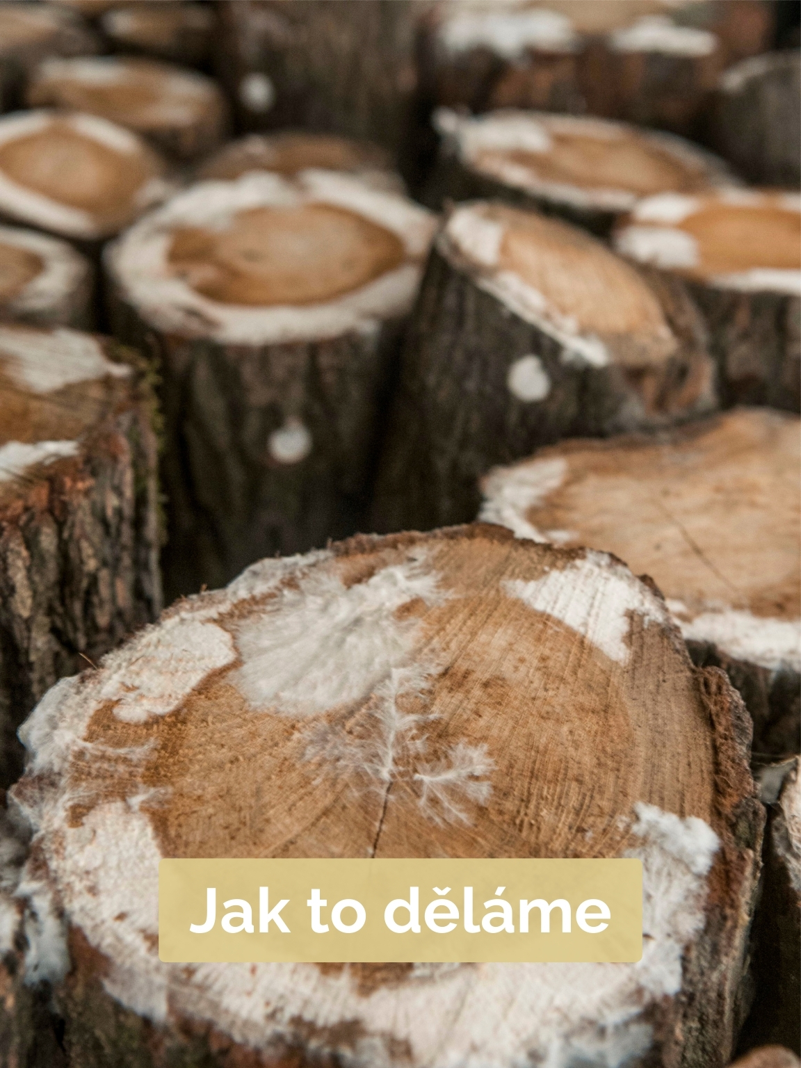 Jak to děláme