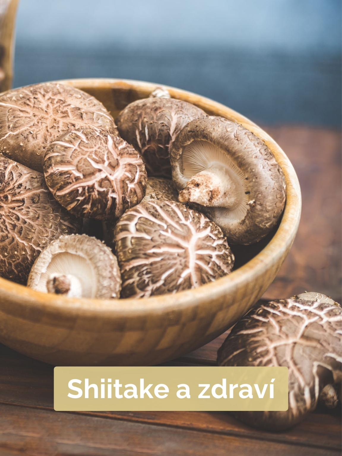 Shiitake a zdraví