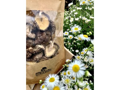 BIO True Shiitake sušené 30g/60g