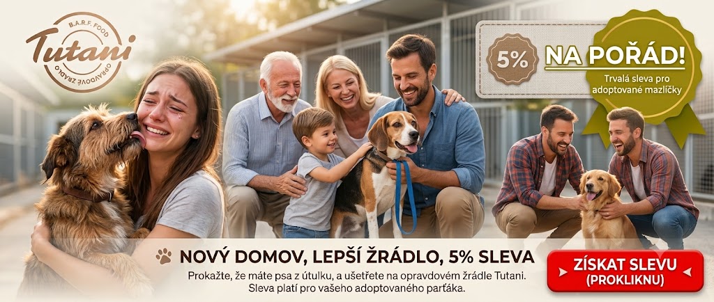 Útulek