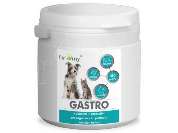 Gastro