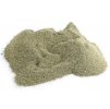 Caulerpa