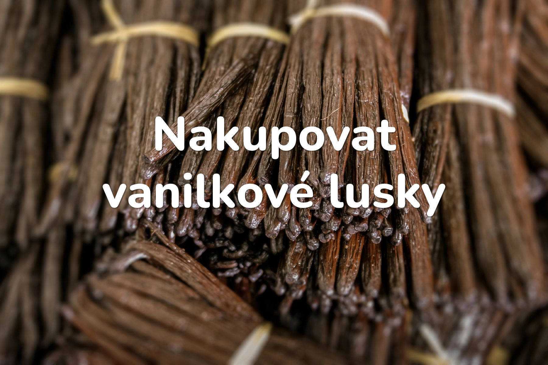 Vanilkové lusky koupit