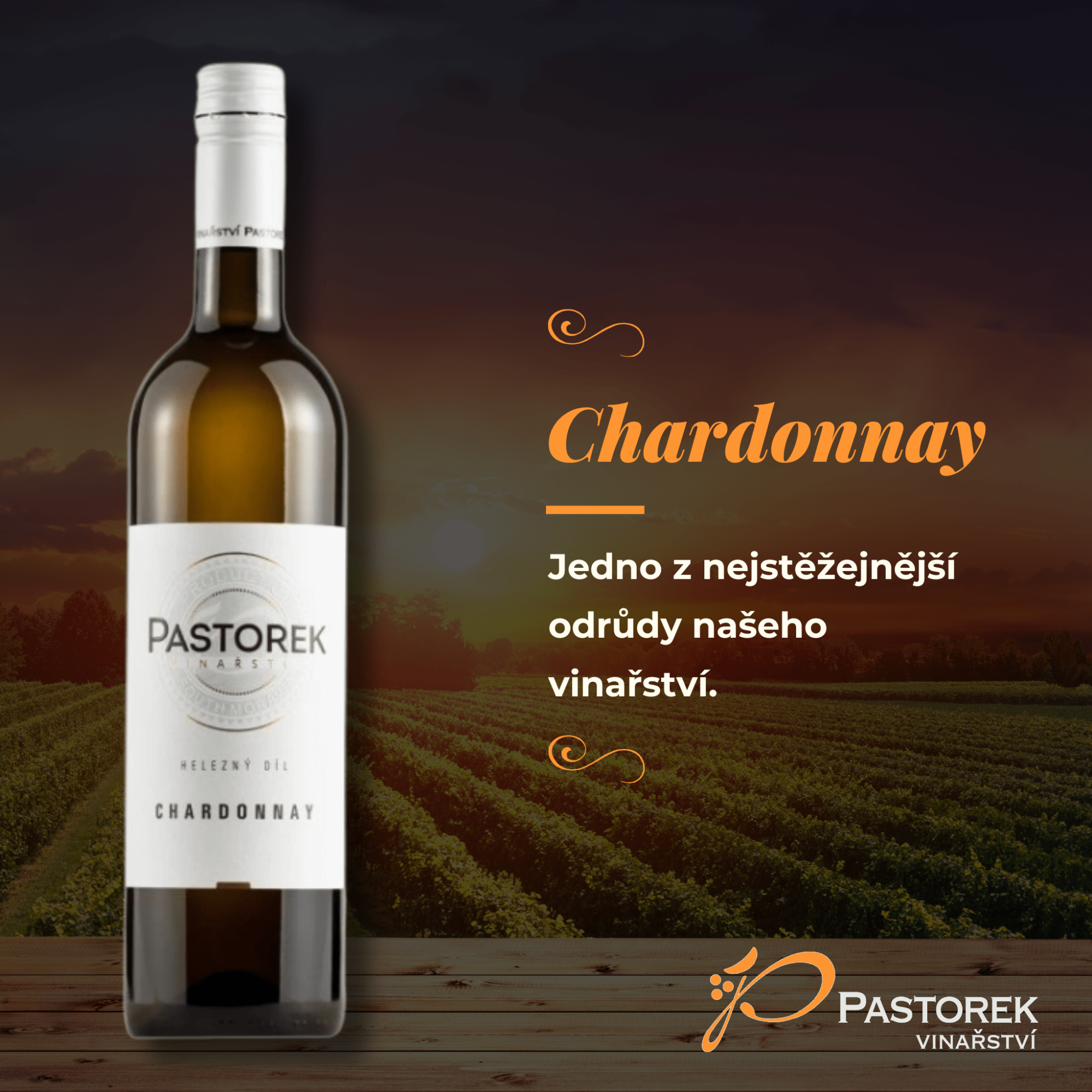 Chardonnay - nejstěžejnější odrůda vína našeho vinařství