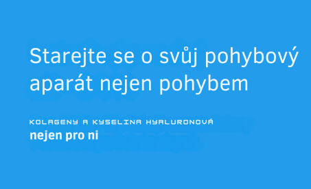 Kloubní výživa