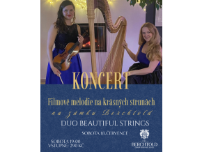 Koncert 18.7.2026 Duo beautiful strings
