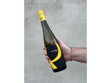 Chardonnay BIO 2023