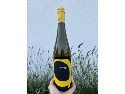 Sauvignon BIO 2024