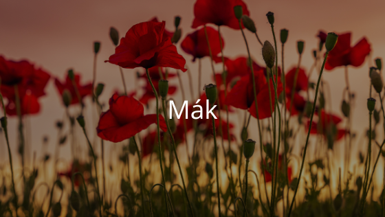 Mák
