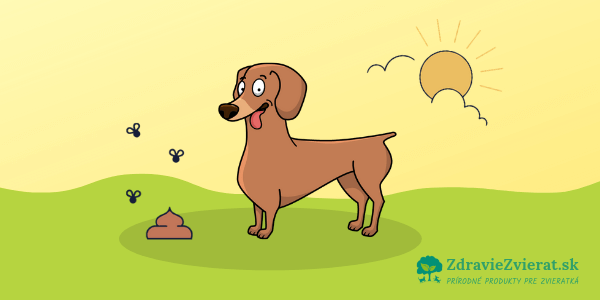 15 dôvodov prečo si niektorí psi pochutnávajú na hovienkach