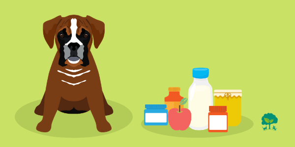 Potrebujú psi probiotiká aj prebiotiká?