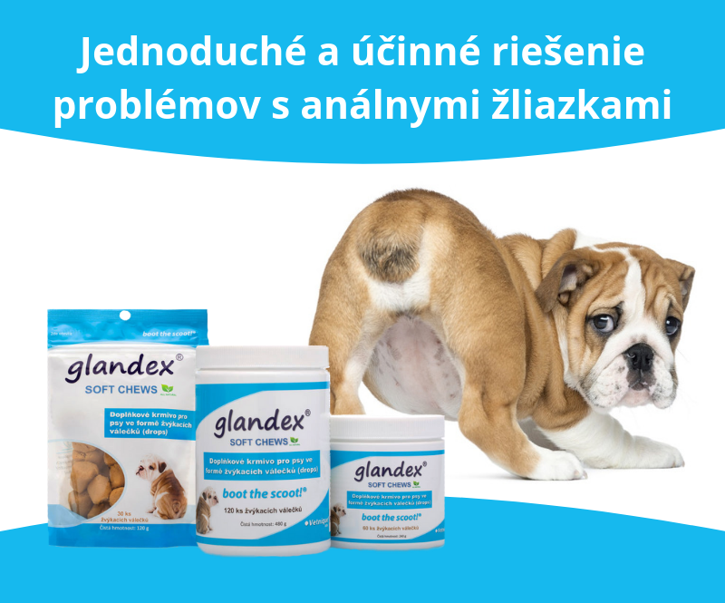 Glandex pri problémoch s análnymi žliazkami