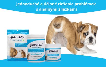 Glandex Soft Chews pri problémoch s análnymi žliazkami