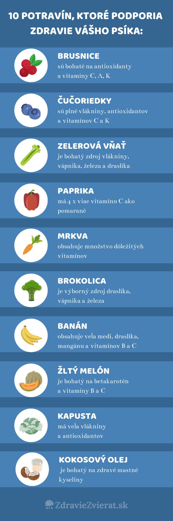 10-potravin-ktore-podporia-zdravie-vasho-psika