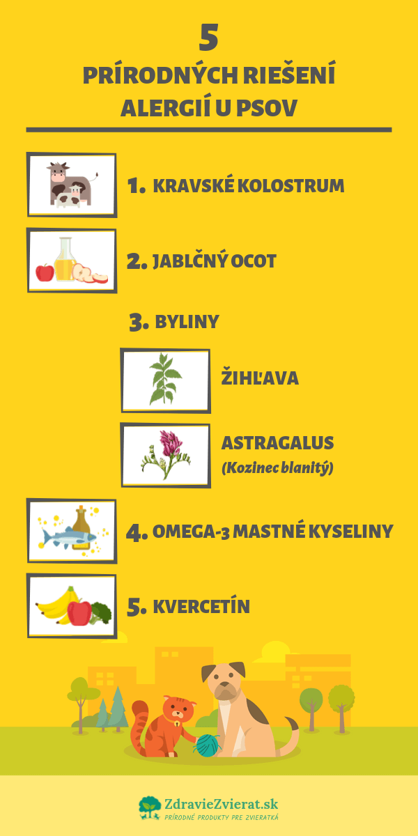 5-prirodnych-rieseni-alergii-u-psov