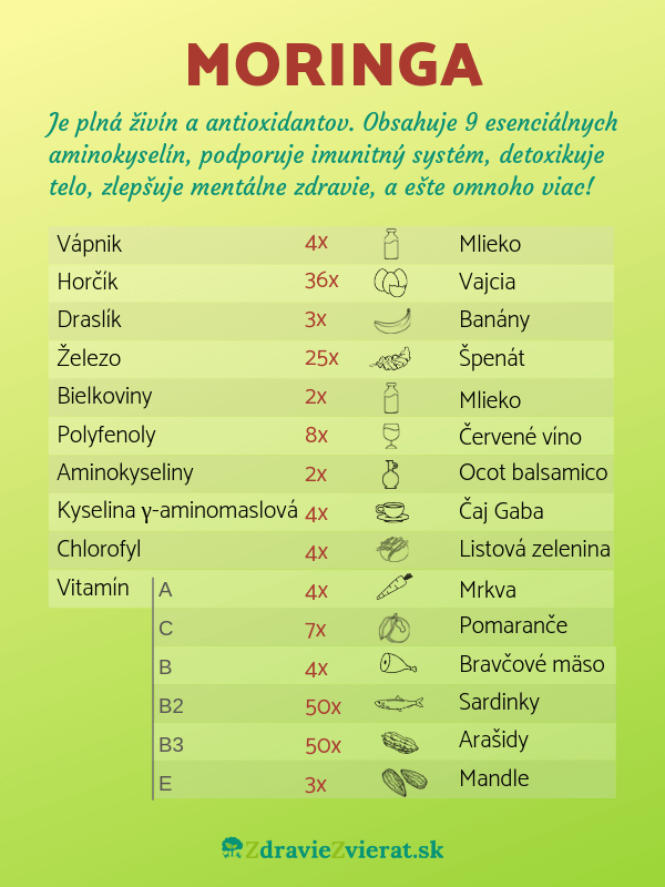 moringa-porovnanie