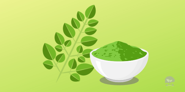 moringa-tit